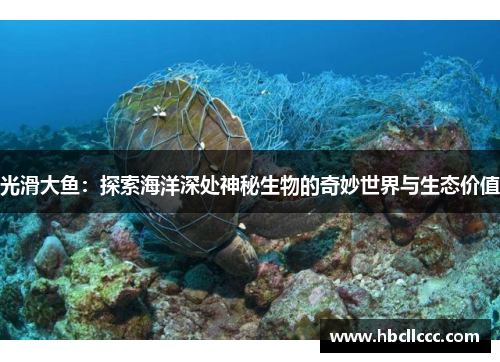 光滑大鱼：探索海洋深处神秘生物的奇妙世界与生态价值