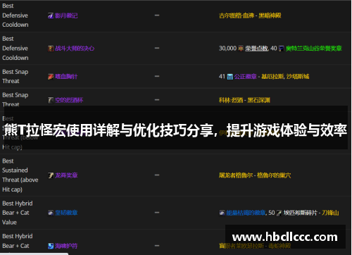 熊T拉怪宏使用详解与优化技巧分享，提升游戏体验与效率